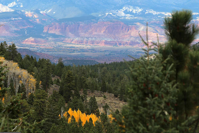 Capitol Reef National Park