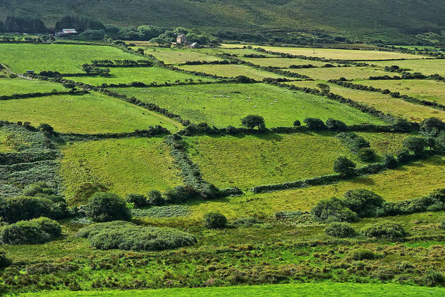 Irland 02