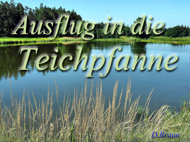 Teichpfanne 01